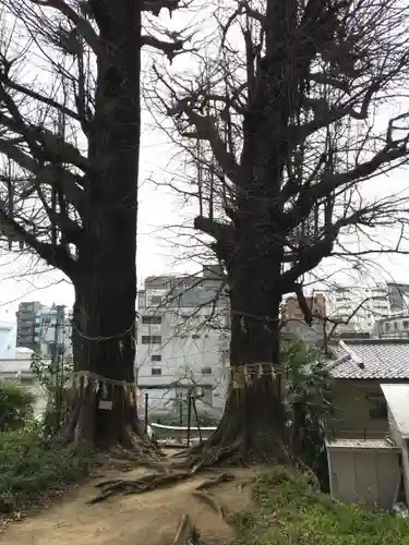 水神社の自然