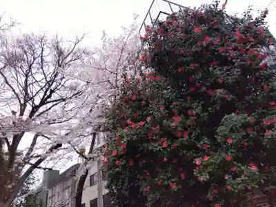 湯島聖堂(東京都)