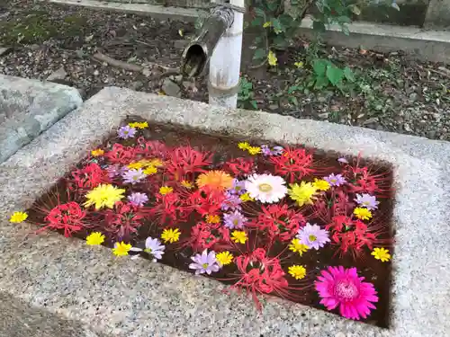 中川八幡神社の手水