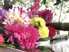 高司神社〜むすびの神の鎮まる社〜の手水