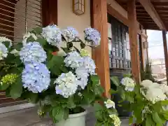 松本山　地福禅寺(滋賀県)