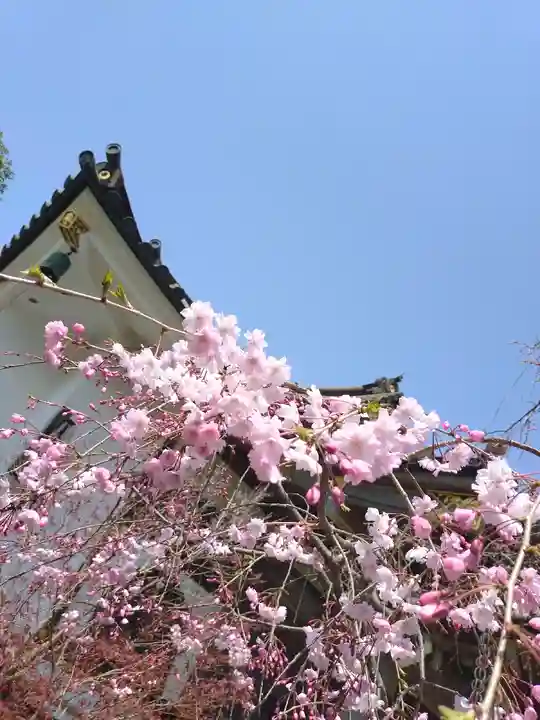 妙隆寺(神奈川県)