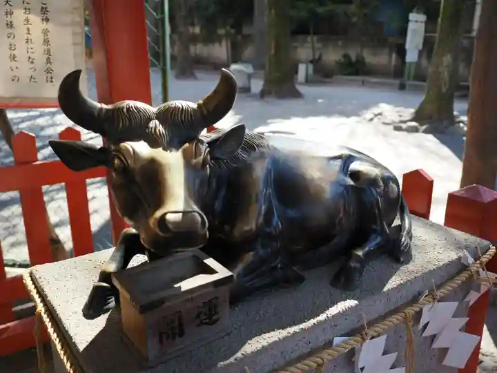 五方山熊野神社(東京都)