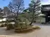 滋賀院門跡の庭園