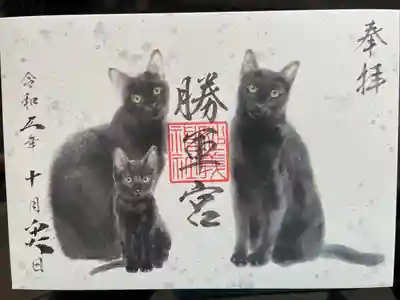 見開きサイズ。猫好きには嬉しいです。