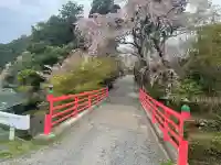 正法寺の{uncategorized: "未分類", other: "その他", undefined: "問題あり", building: "その他建物", grave: "お墓", sacred_gate: "鳥居", guardian: "狛犬", statue: "像", buddha: "仏像", history: "歴史", nature: "自然", garden: "庭園", animal: "動物", pagoda: "塔", temizu: "手水舎", mountain_gate: "山門・神門", sanctuary: "本殿・本堂", subordinate: "末社・摂社", art: "芸術", scenery: "景色", jizo: "地蔵", ema: "絵馬", goshuin: "御朱印", omikuji: "おみくじ", items: "授与品その他", amulet: "お守り", goshuincho: "御朱印帳", eats: "食事", festival: "お祭り", votive_dance: "神楽", shichigosan: "七五三参", wedding: "結婚式", experience: "体験その他", initially: "初詣", around: "周辺", anti_infection: "感染症対策"}