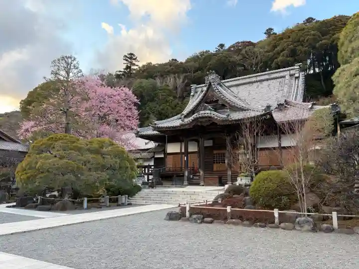 修禅寺の{uncategorized: "未分類", other: "その他", undefined: "問題あり", building: "その他建物", grave: "お墓", sacred_gate: "鳥居", guardian: "狛犬", statue: "像", buddha: "仏像", history: "歴史", nature: "自然", garden: "庭園", animal: "動物", pagoda: "塔", temizu: "手水舎", mountain_gate: "山門・神門", sanctuary: "本殿・本堂", subordinate: "末社・摂社", art: "芸術", scenery: "景色", jizo: "地蔵", ema: "絵馬", goshuin: "御朱印", omikuji: "おみくじ", items: "授与品その他", amulet: "お守り", goshuincho: "御朱印帳", eats: "食事", festival: "お祭り", votive_dance: "神楽", shichigosan: "七五三参", wedding: "結婚式", experience: "体験その他", initially: "初詣", around: "周辺", anti_infection: "感染症対策"}