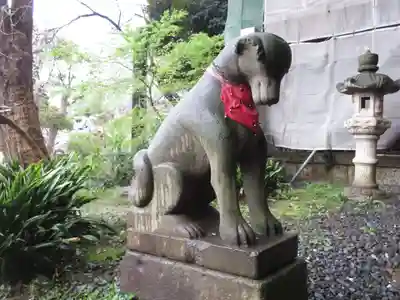 瀧泉寺(目黒不動尊)の狛犬