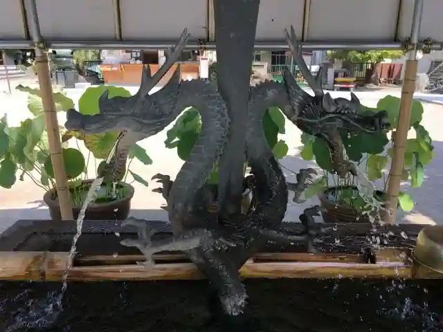 龍泉寺(足利厄除大師)の手水舎