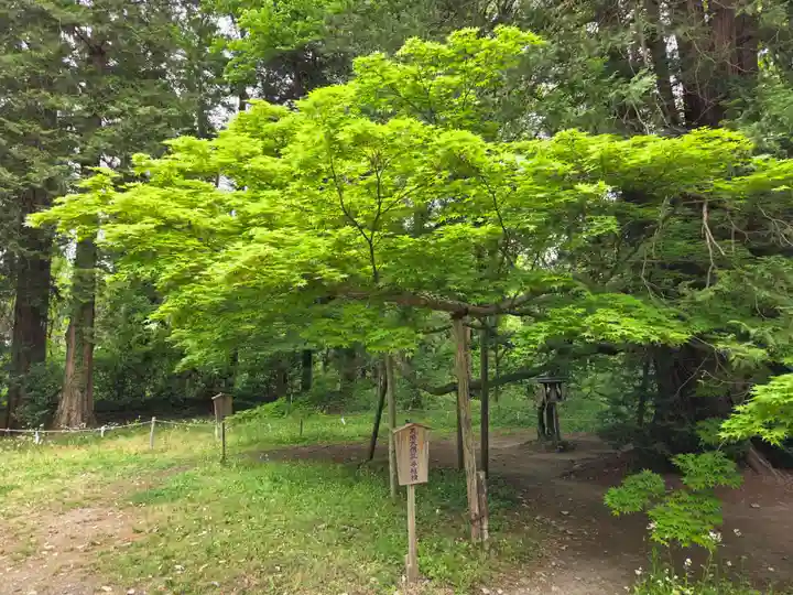 伊佐須美神社(福島県)