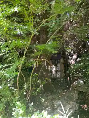 東京大神宮の{uncategorized: "未分類", other: "その他", undefined: "問題あり", building: "その他建物", grave: "お墓", sacred_gate: "鳥居", guardian: "狛犬", statue: "像", buddha: "仏像", history: "歴史", nature: "自然", garden: "庭園", animal: "動物", pagoda: "塔", temizu: "手水舎", mountain_gate: "山門・神門", sanctuary: "本殿・本堂", subordinate: "末社・摂社", art: "芸術", scenery: "景色", jizo: "地蔵", ema: "絵馬", goshuin: "御朱印", omikuji: "おみくじ", items: "授与品その他", amulet: "お守り", goshuincho: "御朱印帳", eats: "食事", festival: "お祭り", votive_dance: "神楽", shichigosan: "七五三参", wedding: "結婚式", experience: "体験その他", initially: "初詣", around: "周辺", anti_infection: "感染症対策"}