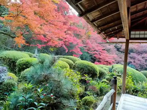 詩仙堂（丈山寺）の庭園