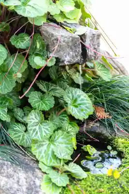 水火天満宮(京都府)