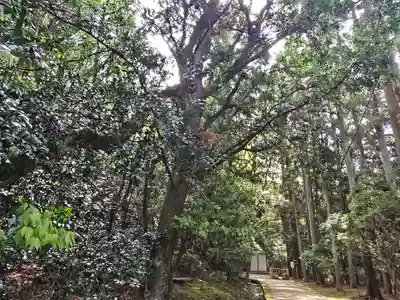 宗像神社(奈良県)