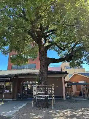 神明社(赤塚神明社)(愛知県)