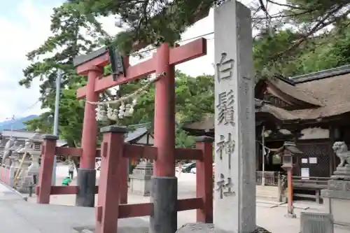 白鬚神社(滋賀県)
