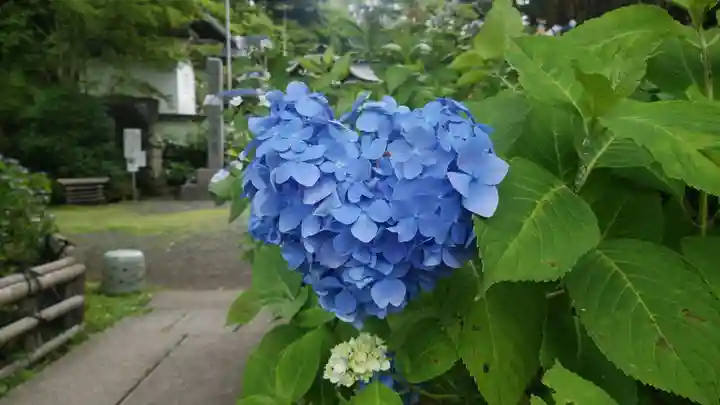 大聖寺のその他建物