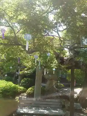 秋葉總本殿可睡斎(静岡県)