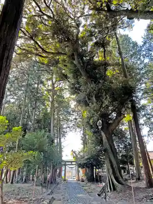 敬満神社のその他建物