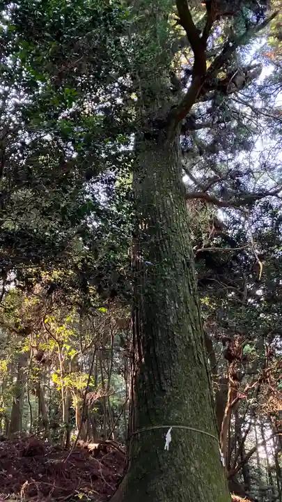 熊山神社(岡山県)