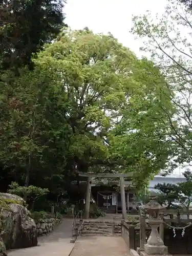 立磐神社の鳥居