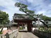 葛井寺(大阪府)