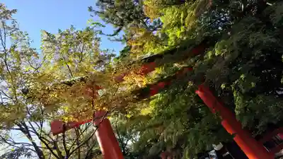 賀茂御祖神社(下鴨神社)の鳥居