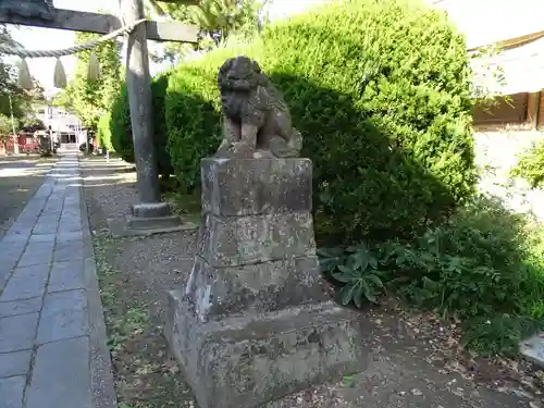 幸宮神社の狛犬