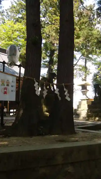 鹿島神社の自然