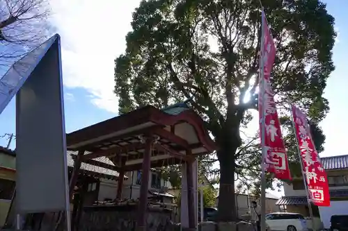 呉服神社の手水