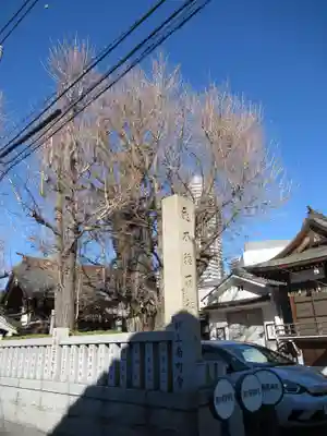 圓通寺(東京都)