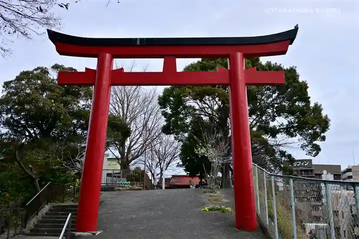 (芝生)浅間神社の鳥居