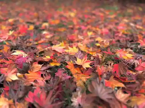 別所神社(長野県)