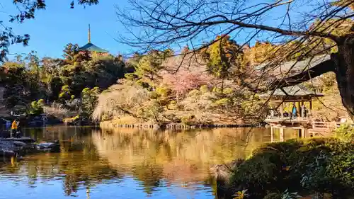 成田山新勝寺の庭園