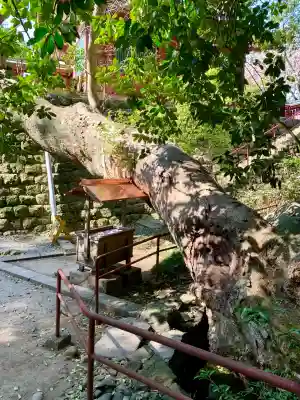 志波彦神社・鹽竈神社(宮城県)