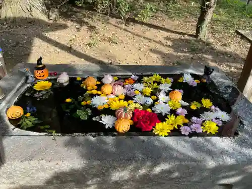 千代ケ岡八幡宮(栃木県)