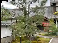 龍珠寺の自然