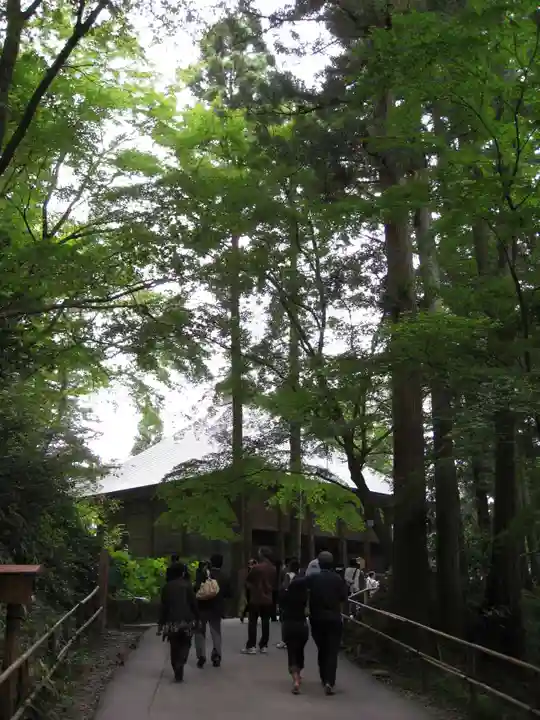 中尊寺金色堂(岩手県)