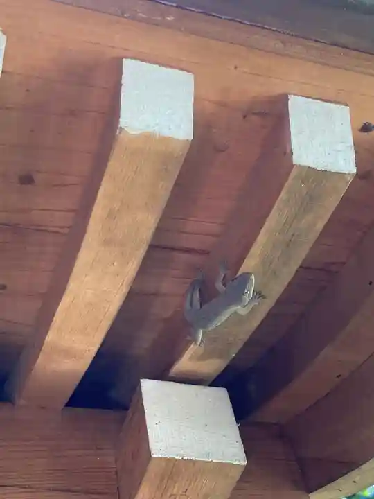 落合白山神社(東京都)