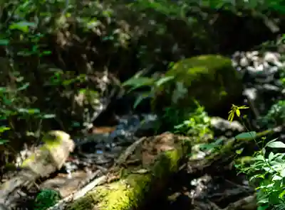 諏訪大社(長野県)