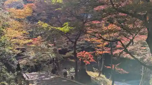 西明寺(京都府)