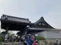 本照寺の{uncategorized: "未分類", other: "その他", undefined: "問題あり", building: "その他建物", grave: "お墓", sacred_gate: "鳥居", guardian: "狛犬", statue: "像", buddha: "仏像", history: "歴史", nature: "自然", garden: "庭園", animal: "動物", pagoda: "塔", temizu: "手水舎", mountain_gate: "山門・神門", sanctuary: "本殿・本堂", subordinate: "末社・摂社", art: "芸術", scenery: "景色", jizo: "地蔵", ema: "絵馬", goshuin: "御朱印", omikuji: "おみくじ", items: "授与品その他", amulet: "お守り", goshuincho: "御朱印帳", eats: "食事", festival: "お祭り", votive_dance: "神楽", shichigosan: "七五三参", wedding: "結婚式", experience: "体験その他", initially: "初詣", around: "周辺", anti_infection: "感染症対策"}
