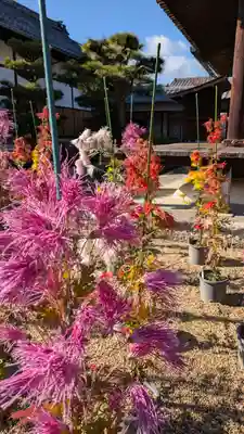 法金剛院(京都府)