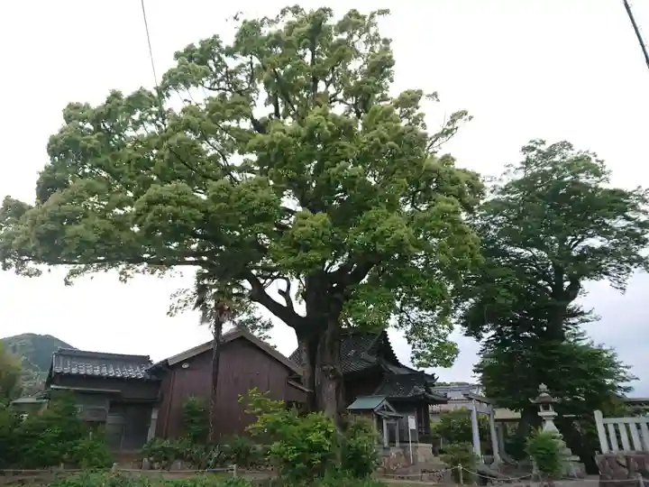 関川社(赤坂町)の自然