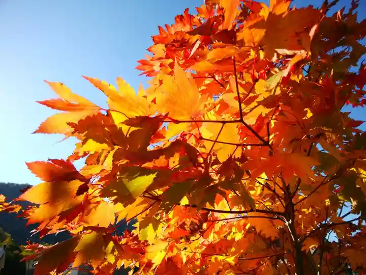 大雪山層雲峡神社(北海道)