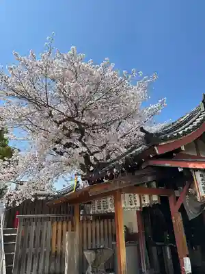 四天王寺(大阪府)