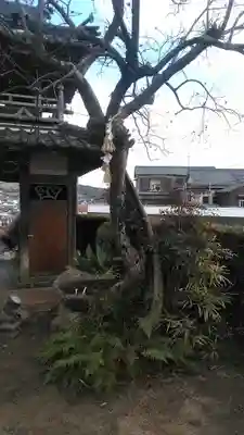善福寺の自然