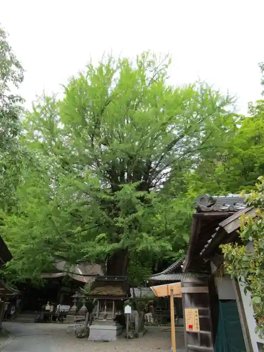 正法寺(滋賀県)