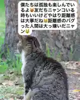 専念寺(大阪府)