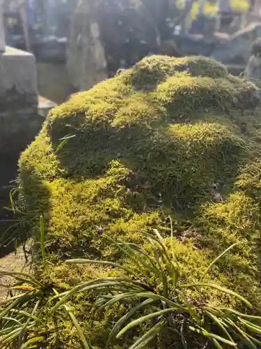 伊勢の国 四天王寺の自然